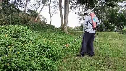 1765962889155286.gif