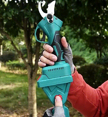 1772093414394843.gif 1688202376687805.gif